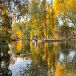 Il mito di Clitunno: scopri le fonti